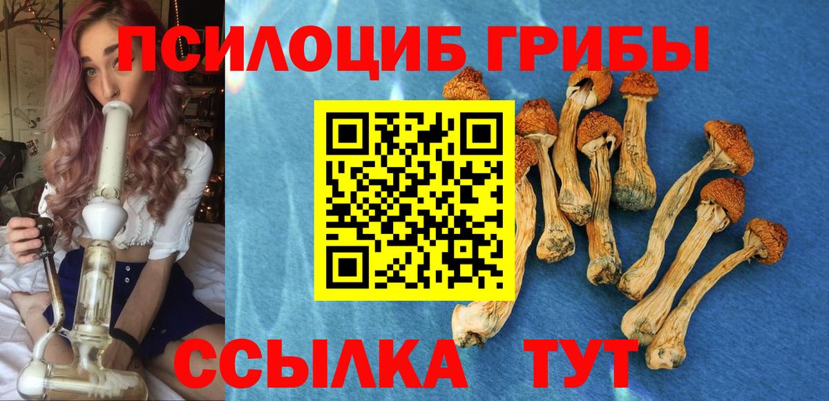 Галлюциногенные грибы Magic Shrooms  Вход с VPN  Сызрань 